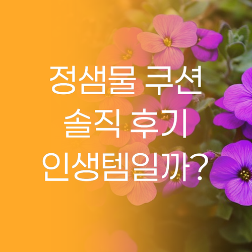 정샘물 쿠션 리필, 왜 다들 인생템이