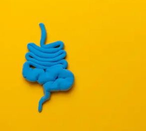 과민성 대장 증후군 증상