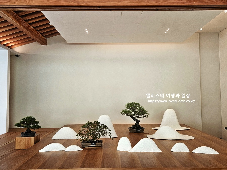 2025 화담숲 마지막 가을 단풍 화담채 분재 즐기기