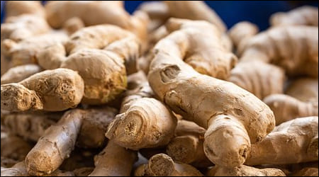 생강이 쌓여 있는 모습