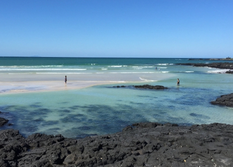 세화해변 유채꽃밭