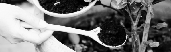 화초 비료 필수 지식 ① 필요 양분