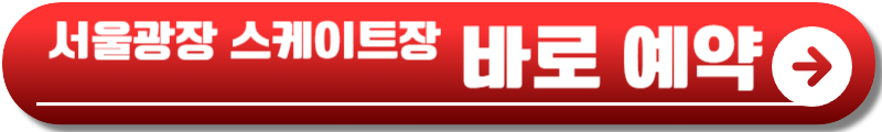 서울광장 스케이트장