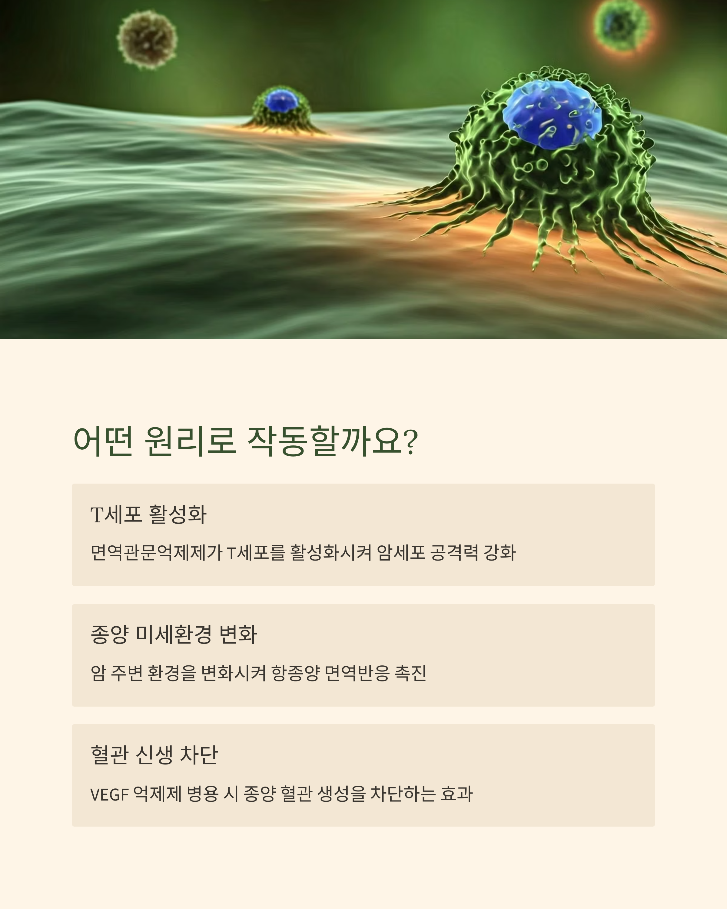 여보이 옵디보 면역항암제 원리