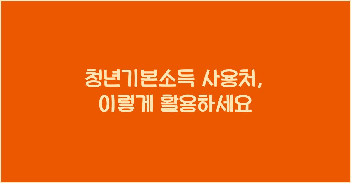 청년기본소득 사용처
