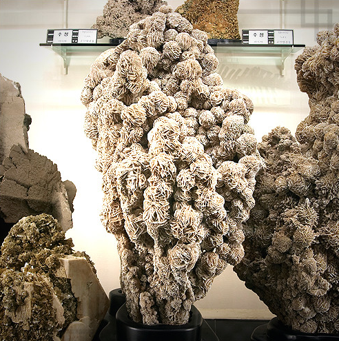 생방송투데이 이유있는성지순례 강원도삼척 강원종합박물관