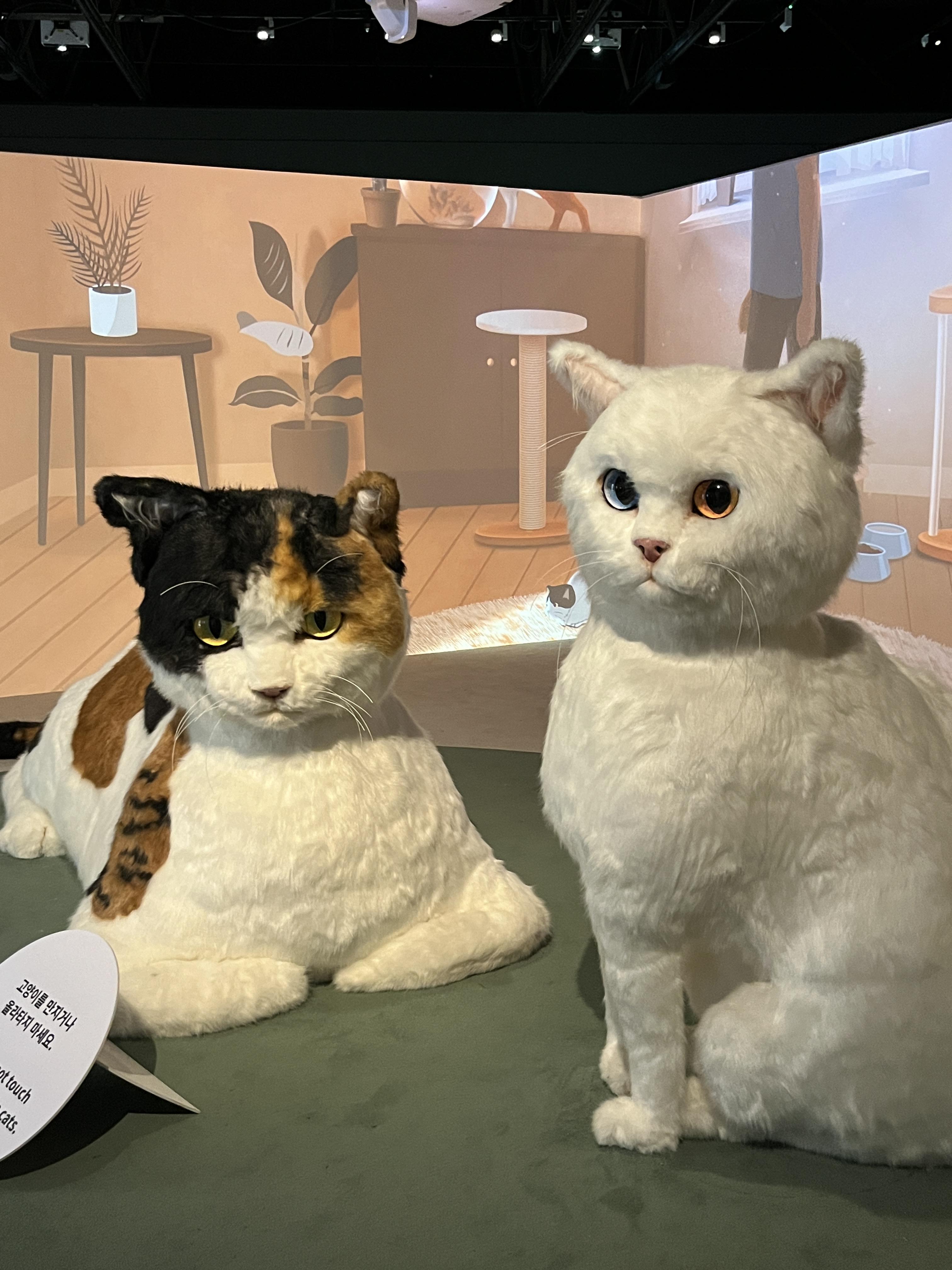 요물 우리를 홀린 고양이