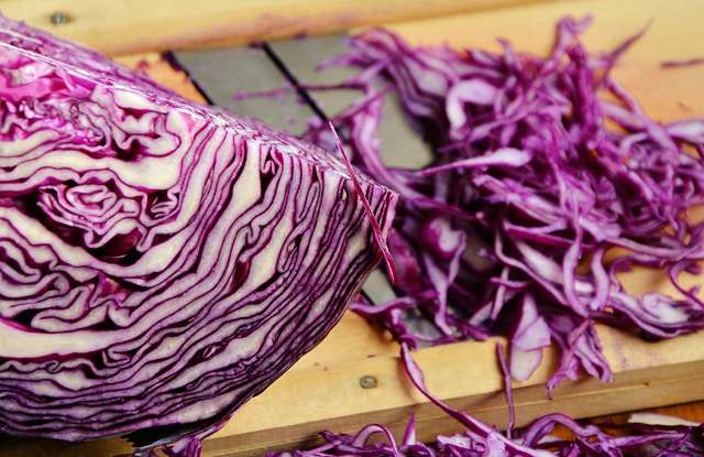 당뇨 관리식 양배추 토마토 효능 혈당 잡는 운동 필록싱바레 추천 소개