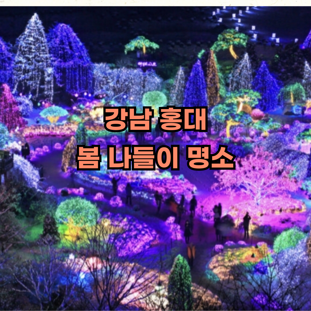 강남 홍대 봄 나들이 명소