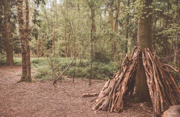 생존낫·도끼 없는 임시 쉼터 대체 공구 활용법