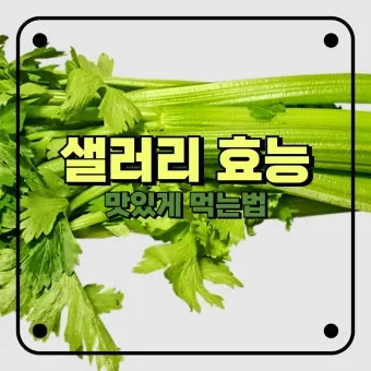 샐러리 효능 알고 먹는법 잎 생으로 손질법 요리_19