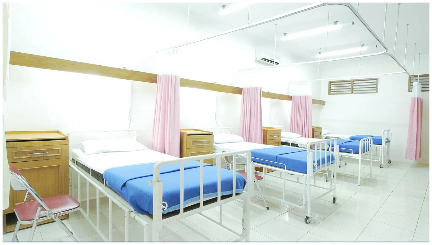 죽순 효능