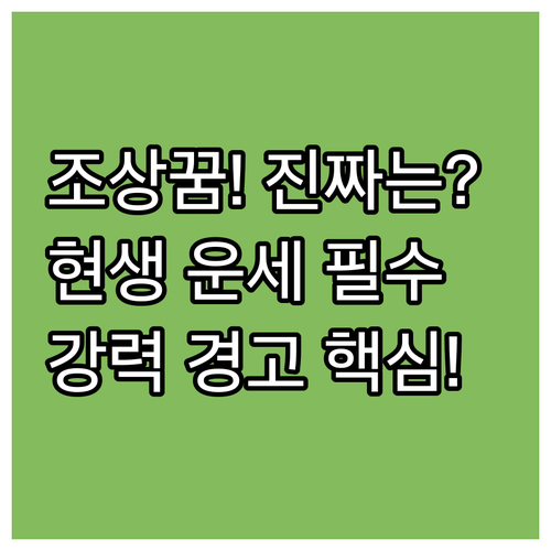조상꿈은 단순한 꿈일까? 현생 운세 ..