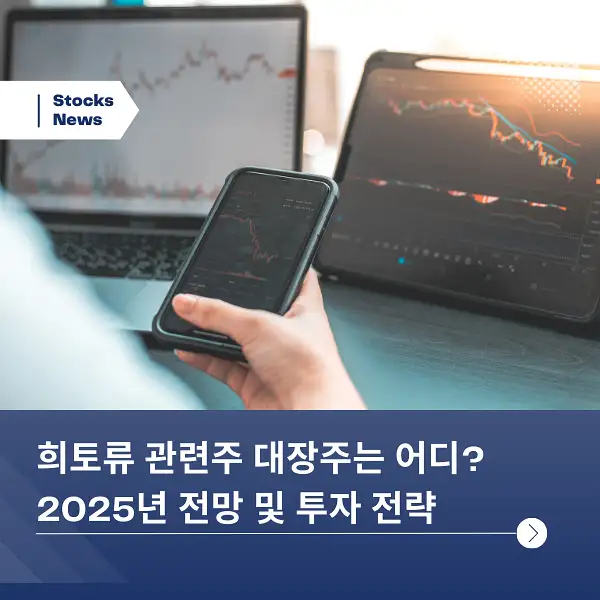 희토류 관련주 대장주