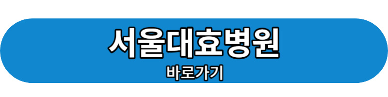 서울대효병원 바로가기