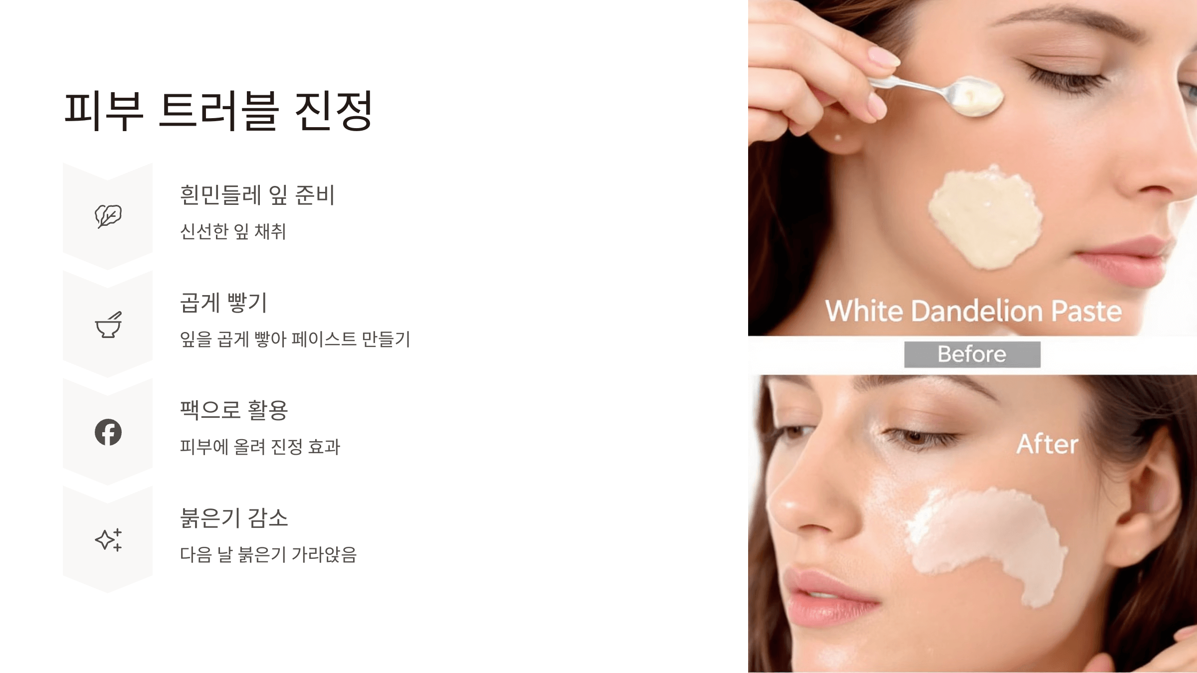 흰민들레 사진입니다.