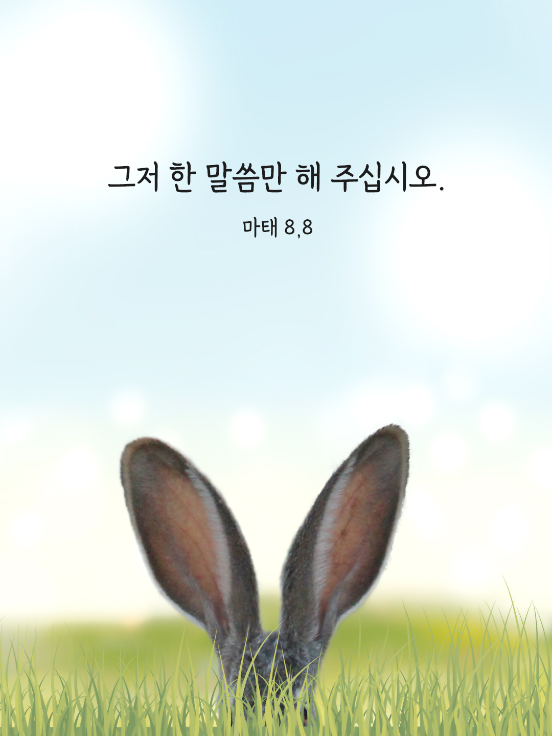 그저 한 말씀만 해 주십시오. (마태 8,8)