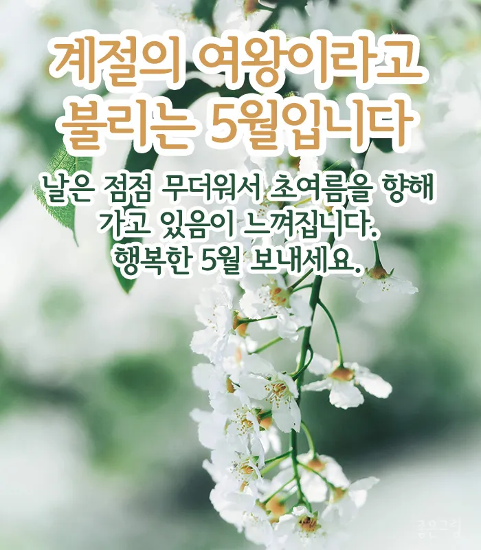 5월 인사말 모음 예시 멘트_5