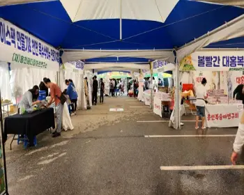 홍천 찰옥수수 축제_9