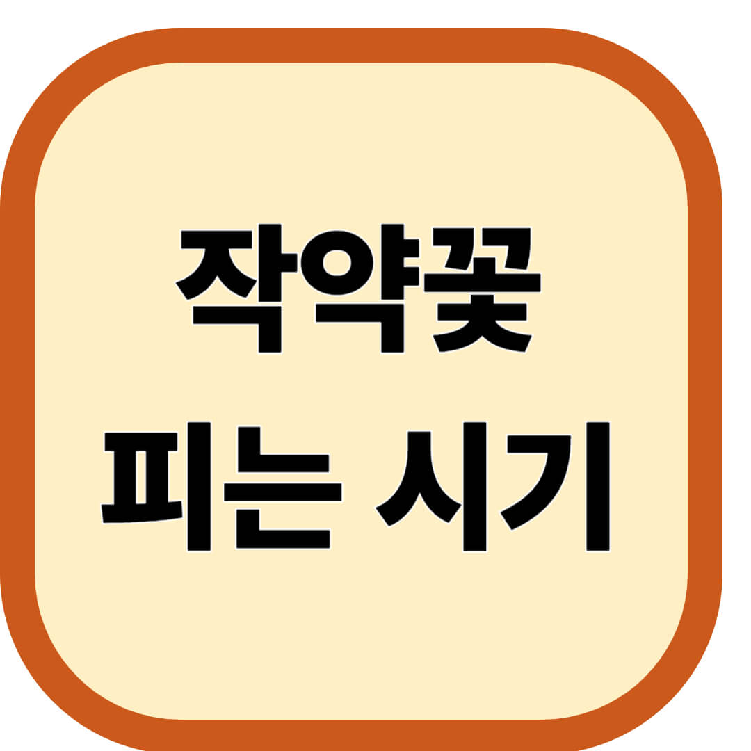 작약꽃 피는 시기