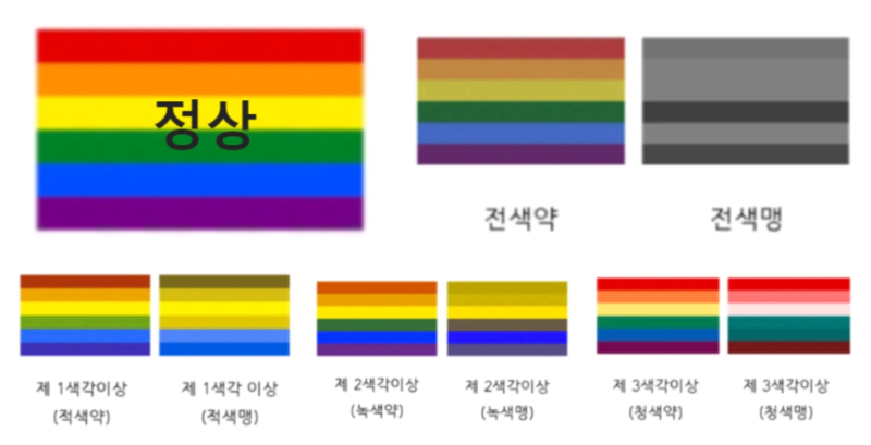 색맹 색약 차이