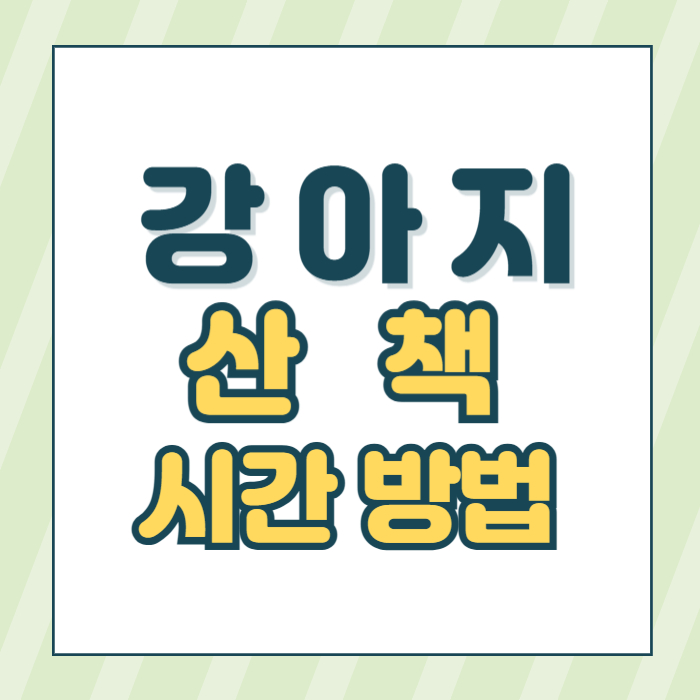 강아지산책시간방법