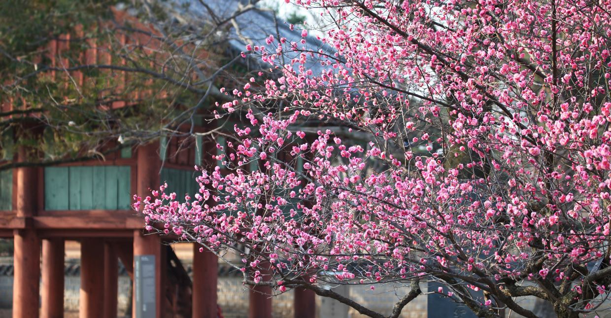 전주여행 관련사진