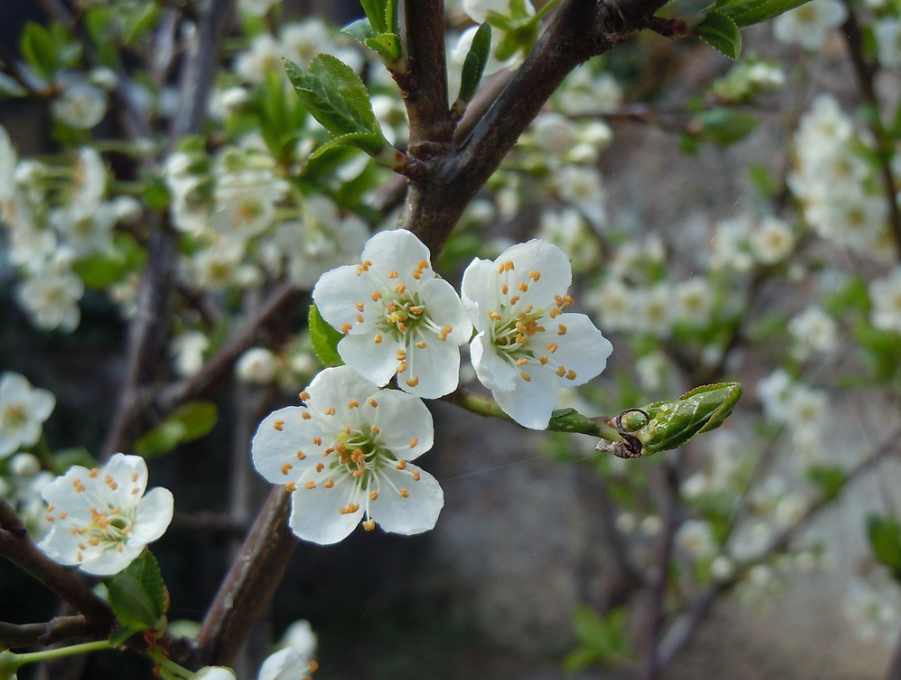 월요일 아침인사말