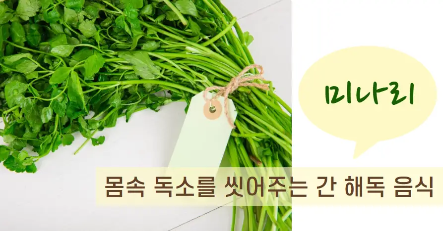 미나리 – 몸속 독소를 씻어주는 간 해독 음식