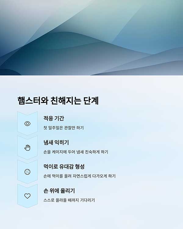 햄스터와 친해지는 방법