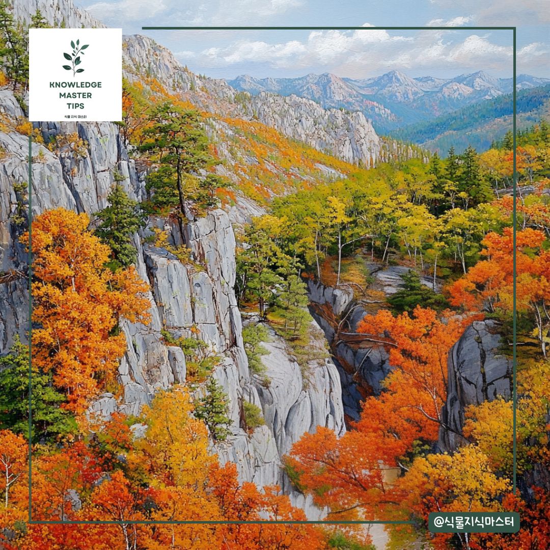 경상도 단풍 명소 - 포항 내연산 보경사