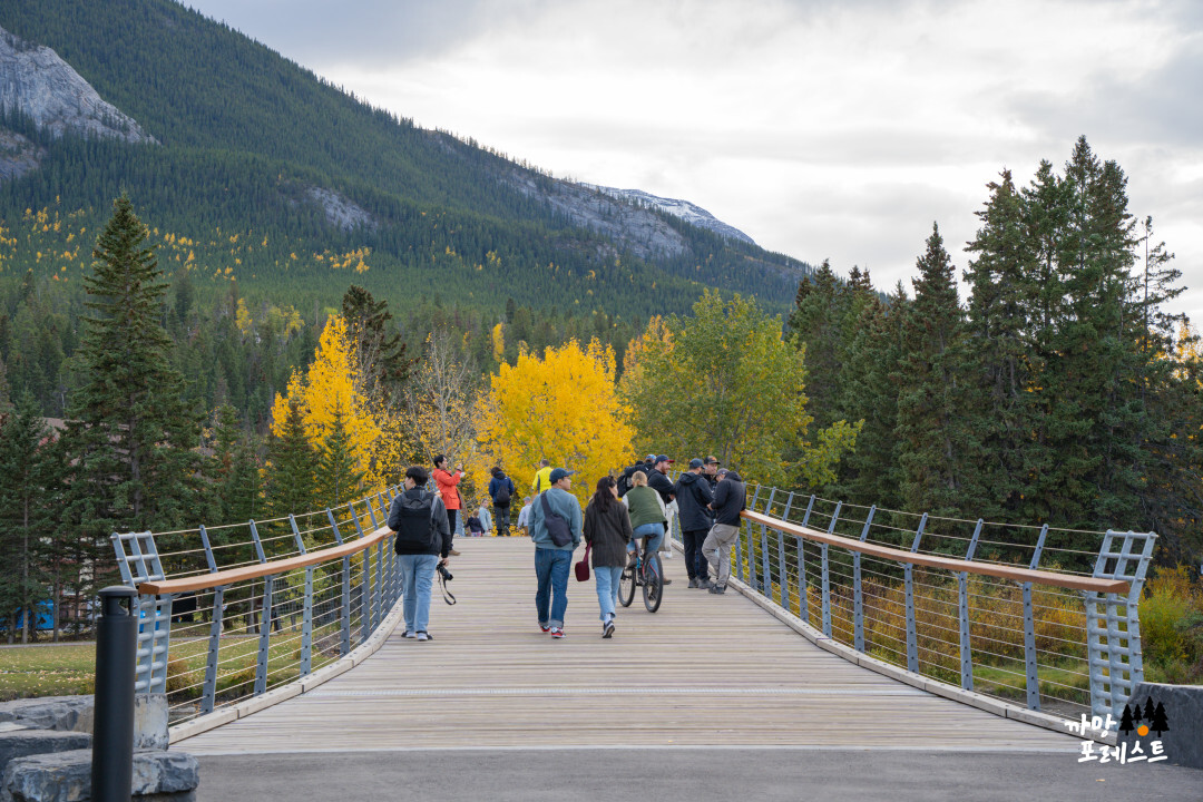 밴프 공원 가을