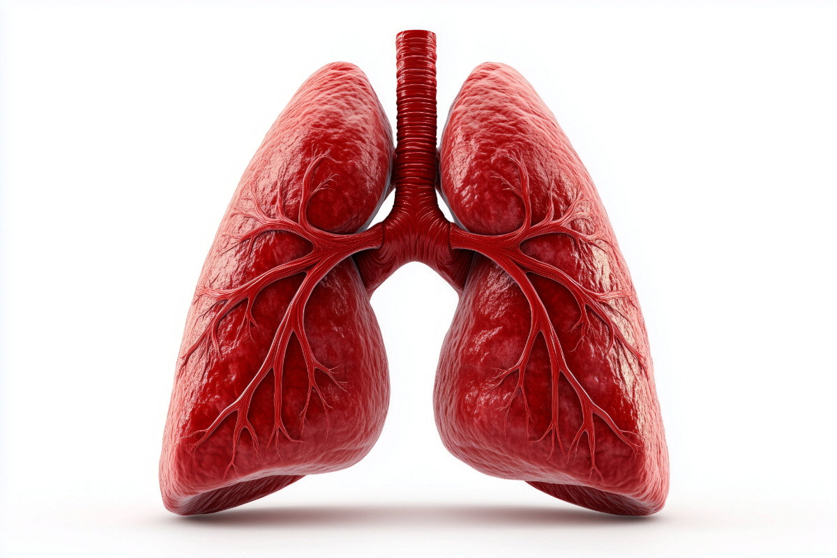 폐렴 예방 접종