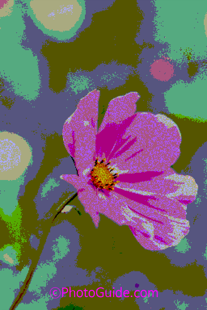 photoguide.com nft flower photo