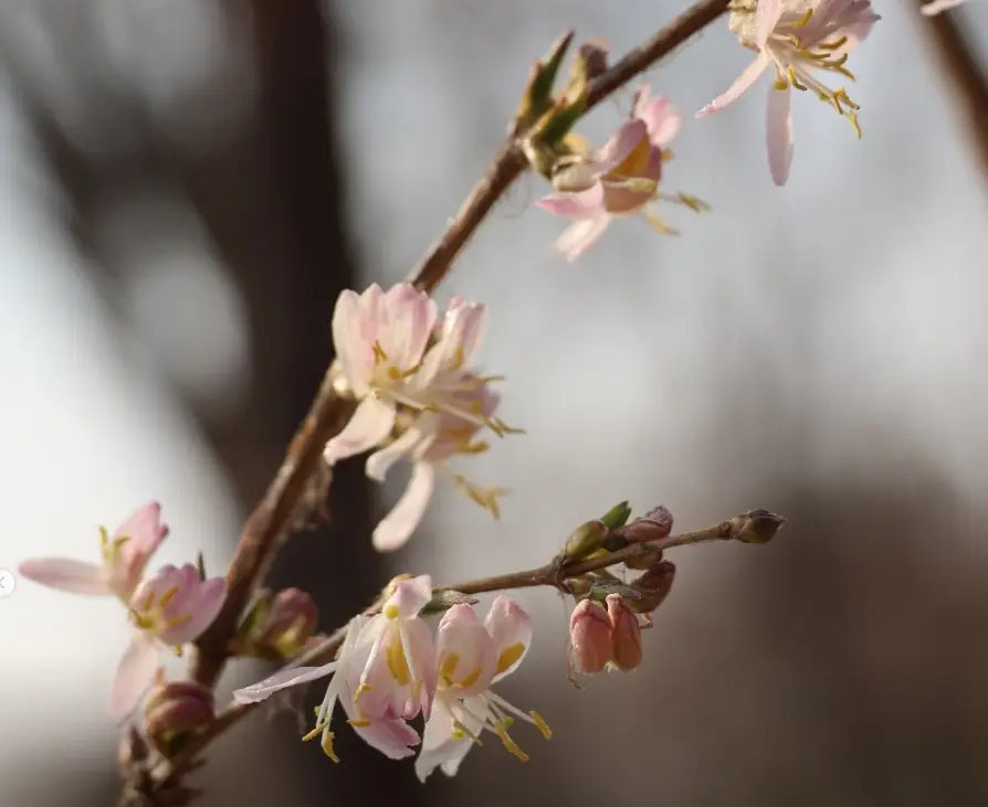 일월수목원-입장료-주차요금-관람시간