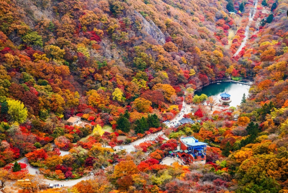 단풍시기