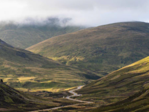 허벅지 통증 원인