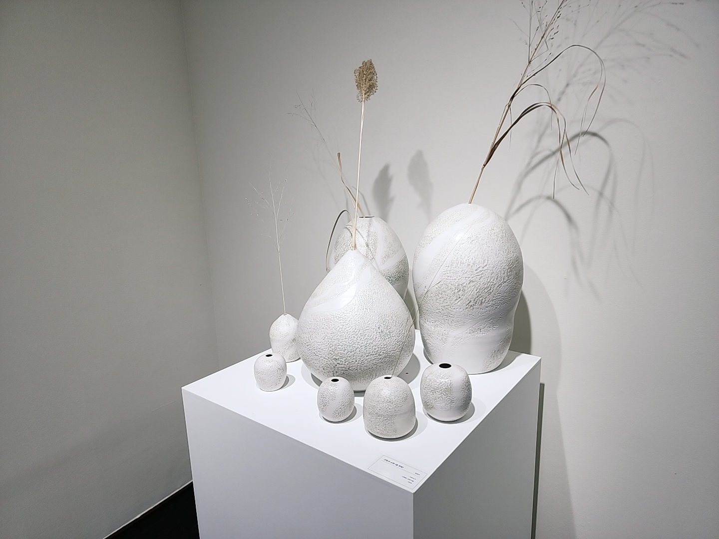 세라믹플러스 작품3