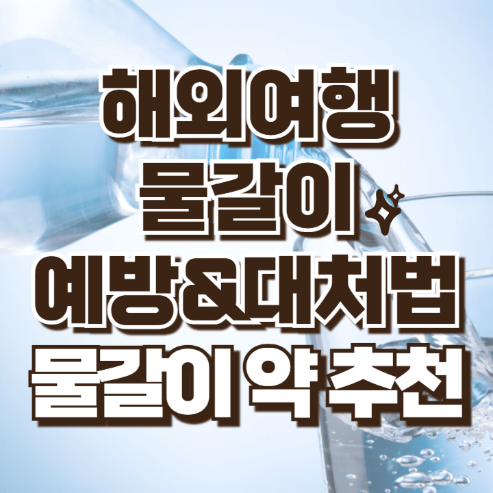 해외여행 물갈이 예방법 대처법 물갈이 약 추천