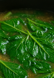 아욱국 맛있게 끓이는 방법