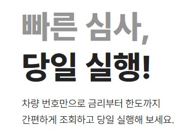 빠른 심사 당일 실행