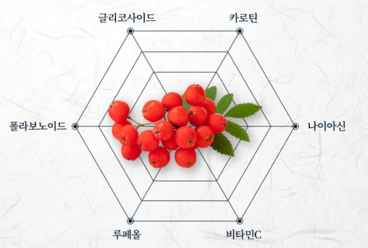 마가목 효능