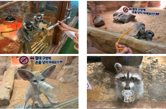 먹이주기의 그늘