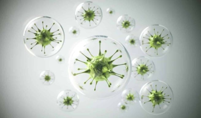 염증수치가 높은 이유