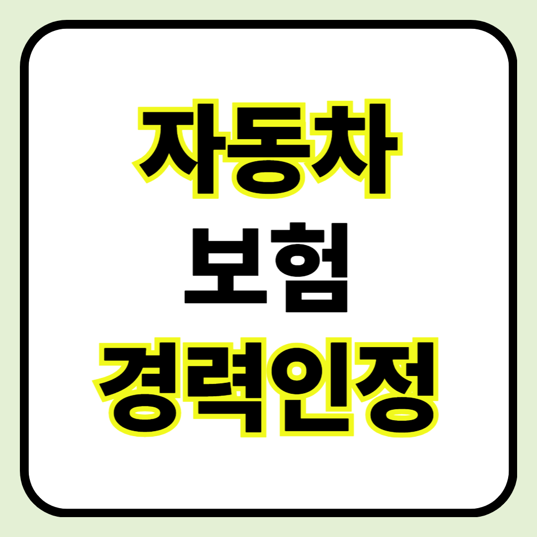 🛡️ 자동차보험 경력 인정 ❘ 운전경력으로 보험료 할인받는 방법 총정리