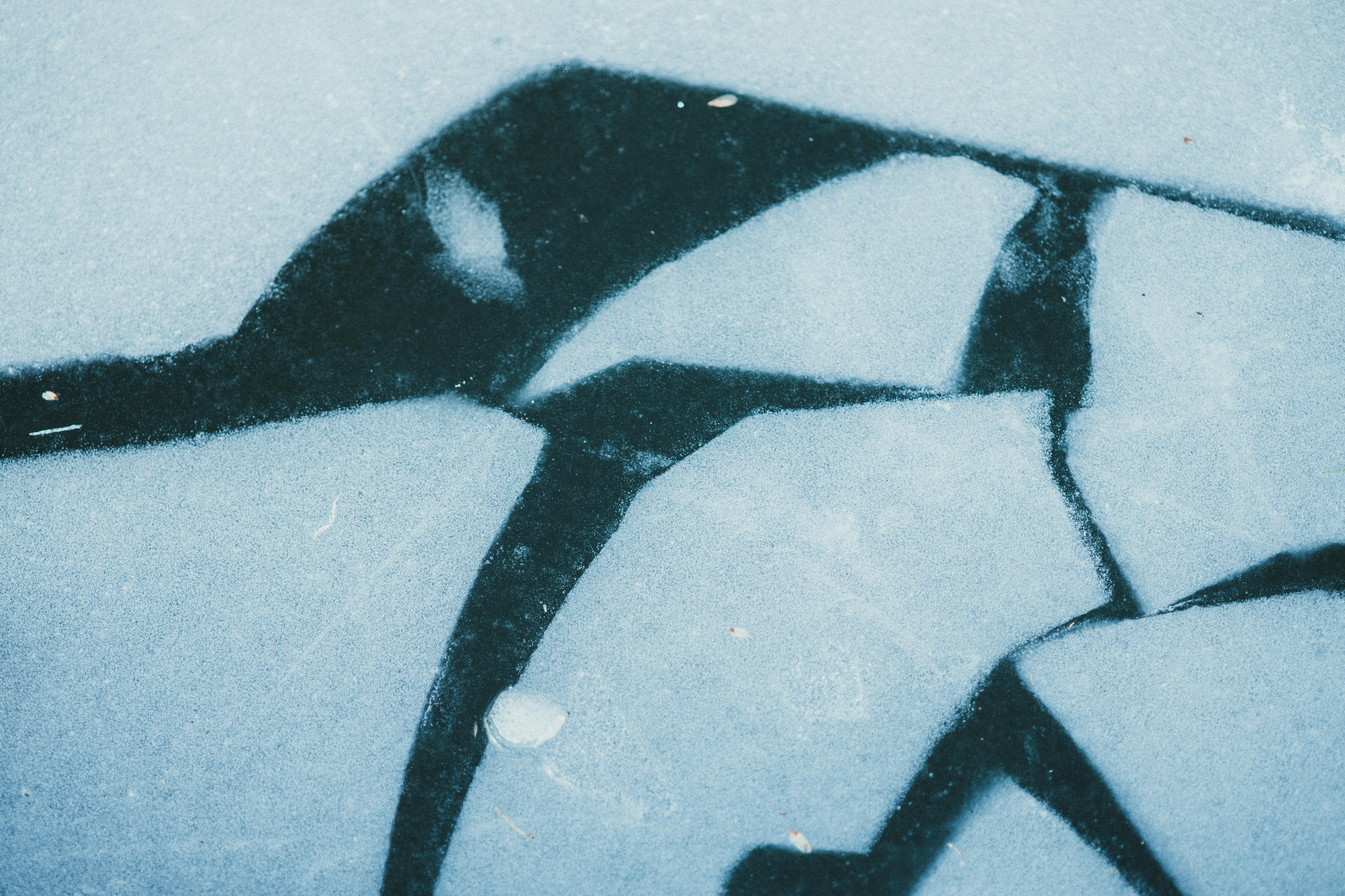 자가 진단 테스트