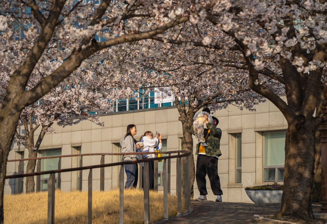 봉담 장안대학교 캠퍼스