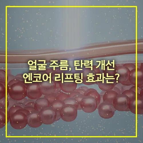 얼굴 주름 탄력 개선 엔코어 리프팅 효과