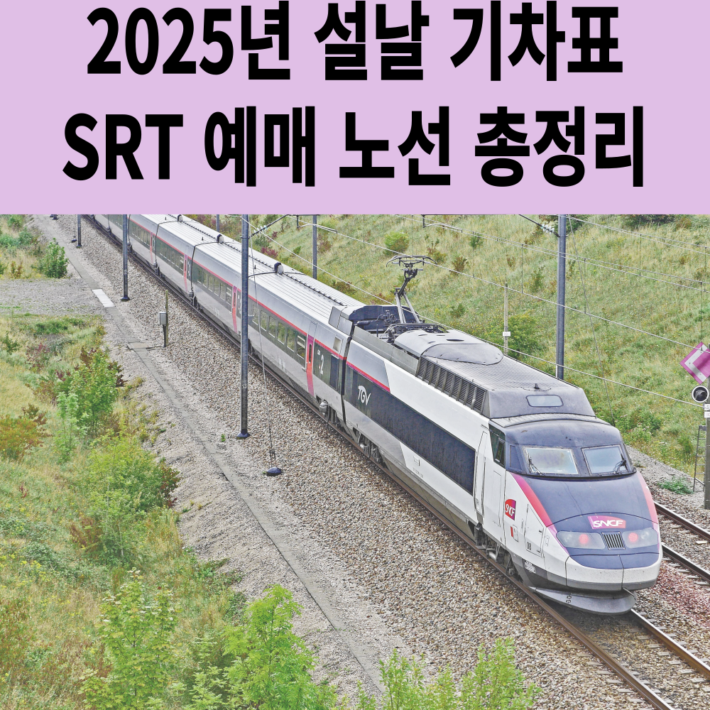 2025년 설날 기차표 SRT 예매 일정, 노선 총정리