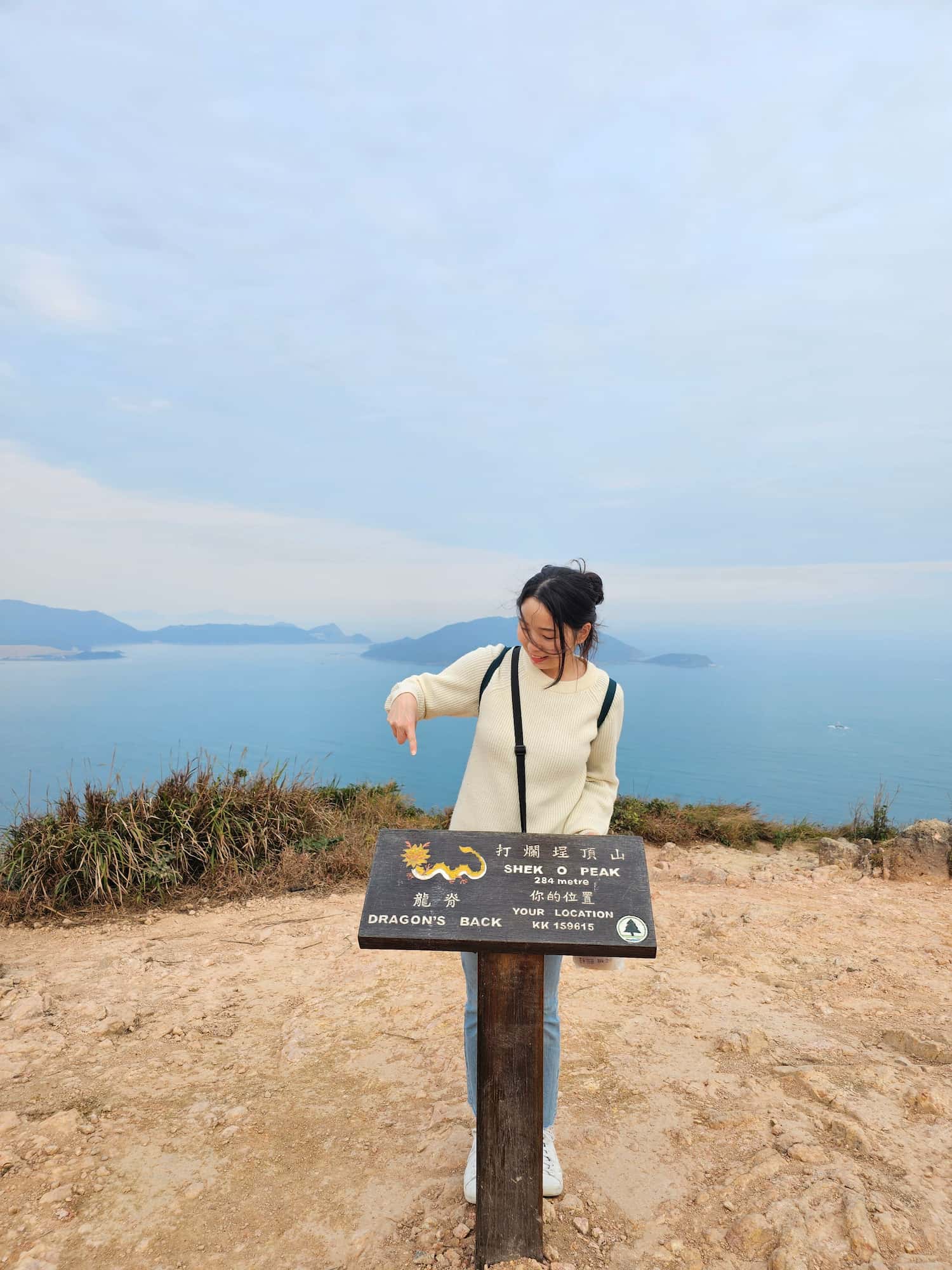 드래곤즈 백 후기
